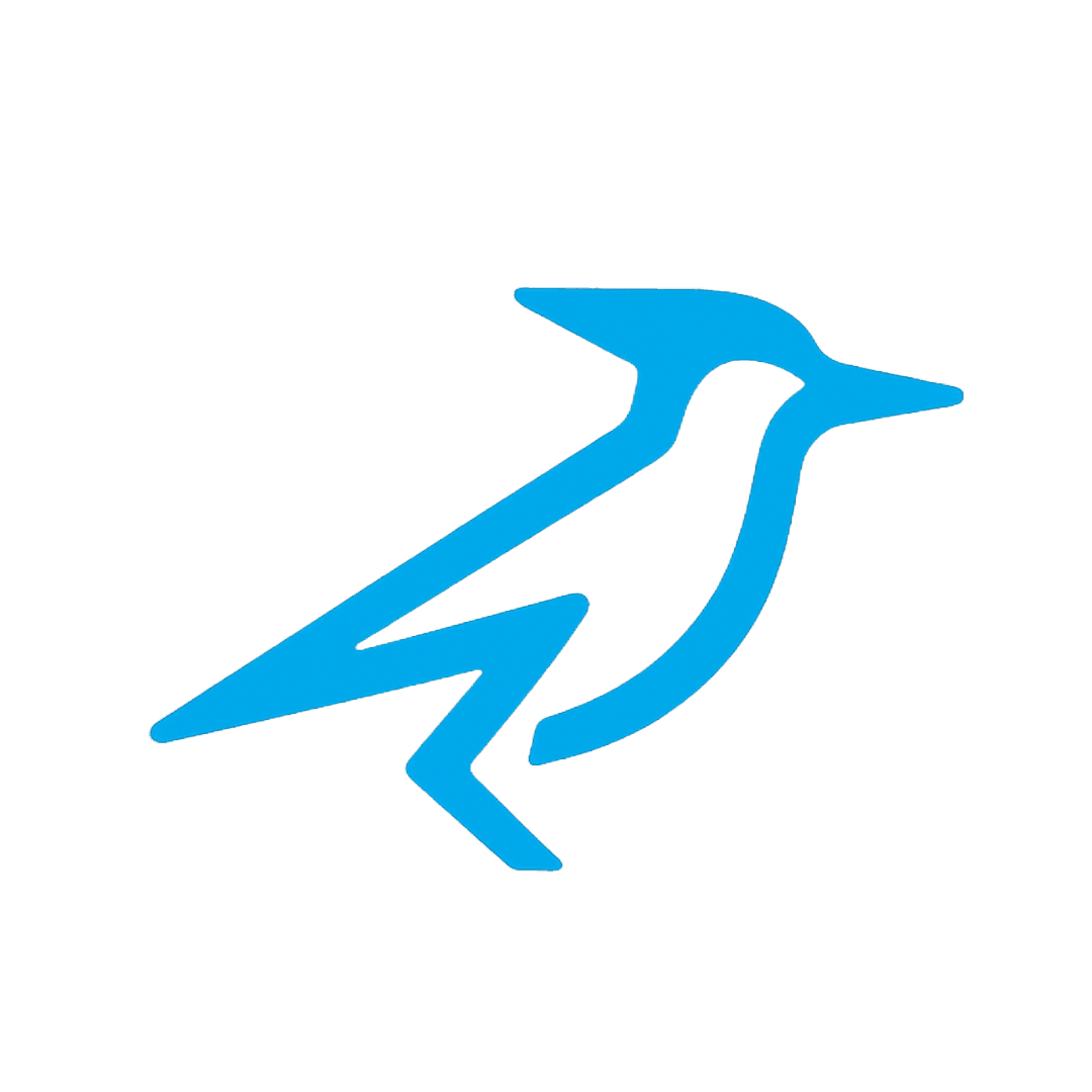 Road Runner Solutions