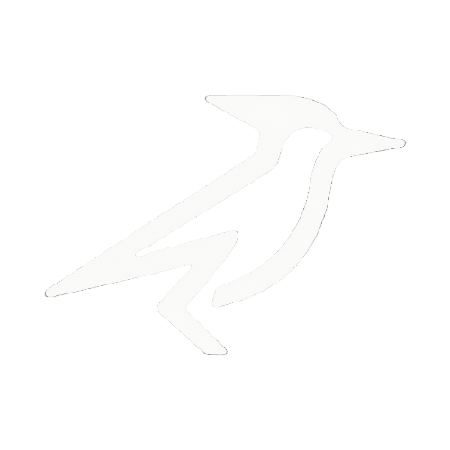 Road Runner Solutions